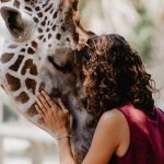 Conditions requises pour travailler dans un parc animalier ou un zoo