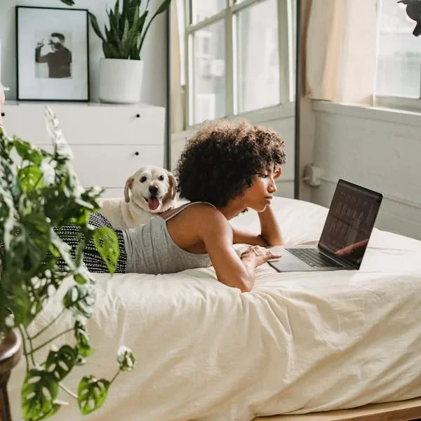 Habiter votre nouveau chien à ses croquettes