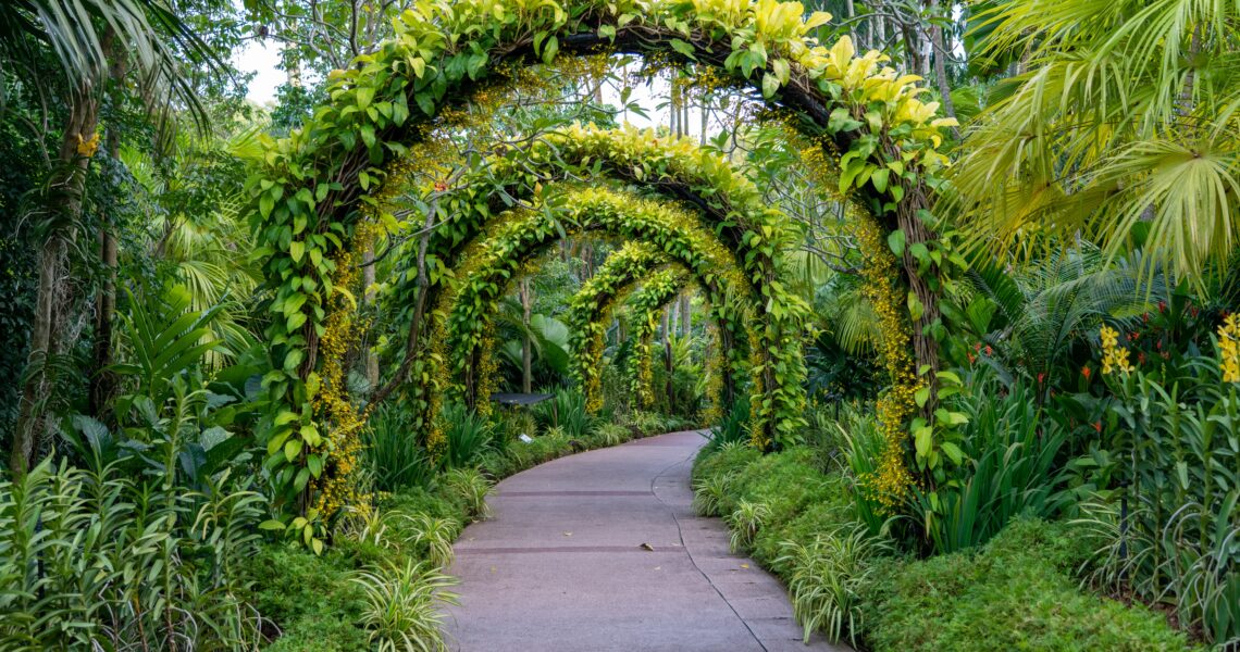 Jardinage : secrets pour choisir le meilleur équipement