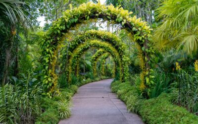 Jardinage : secrets pour choisir le meilleur équipement