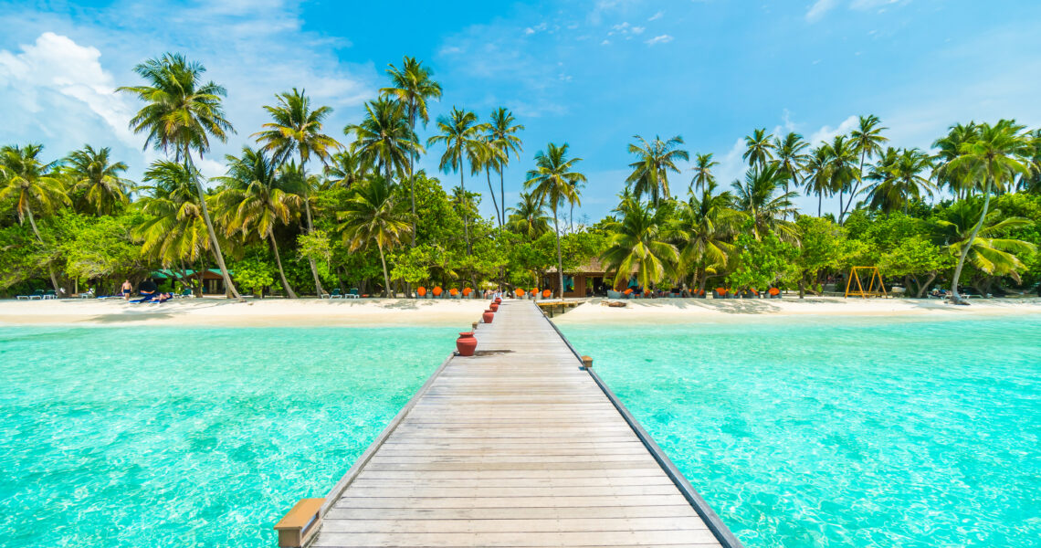 Voyage ou cocon : choisir entre partir et rester chez soi