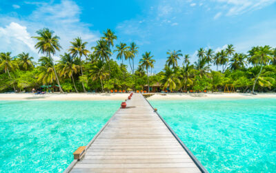 Voyage ou cocon : choisir entre partir et rester chez soi