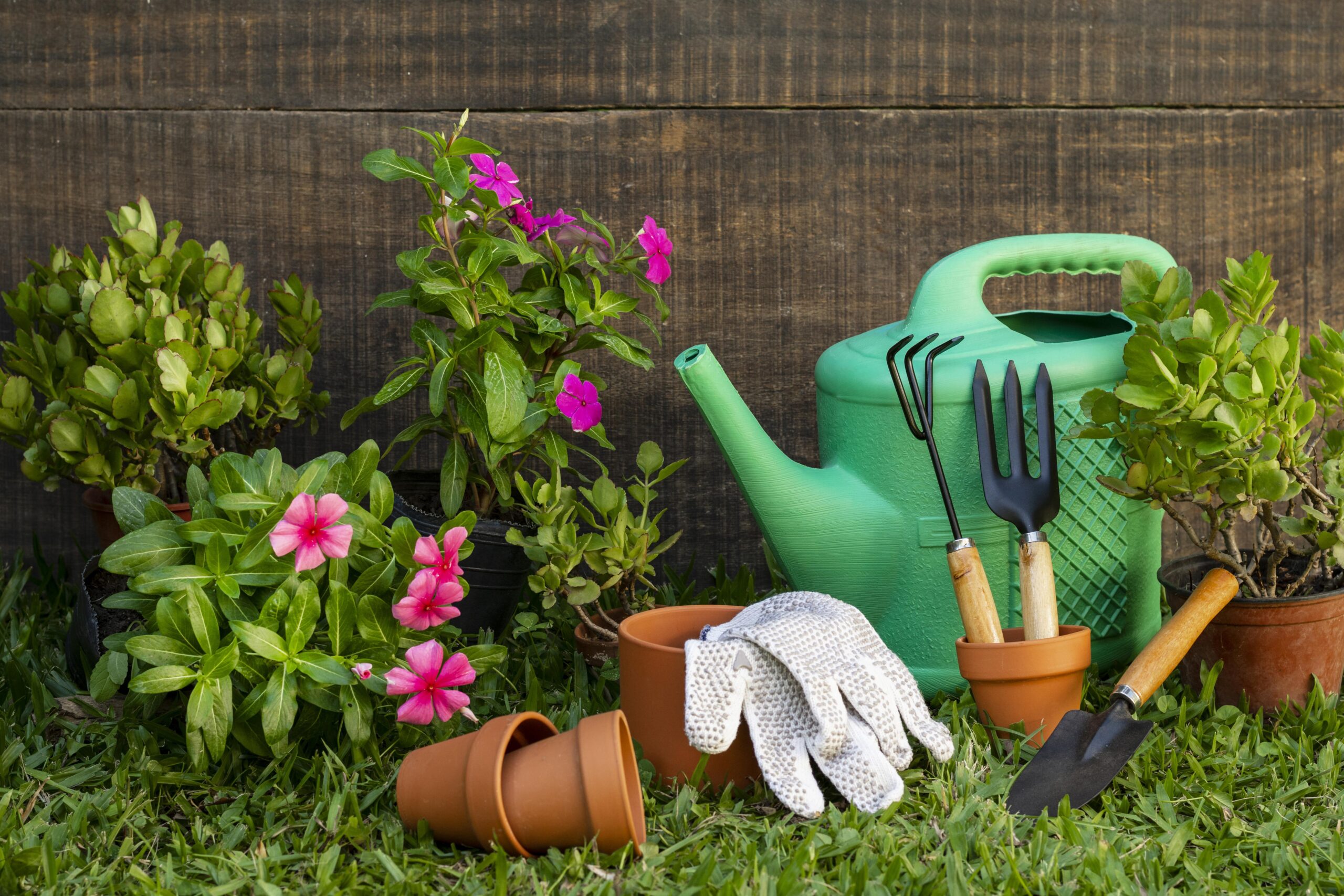 Jardinage : secrets pour choisir le meilleur équipement