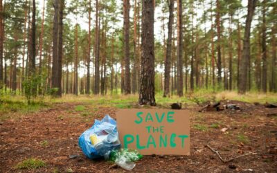 Développement durable