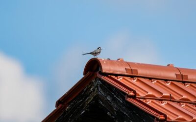 L’isolation de la toiture transforme le confort d’une habitation