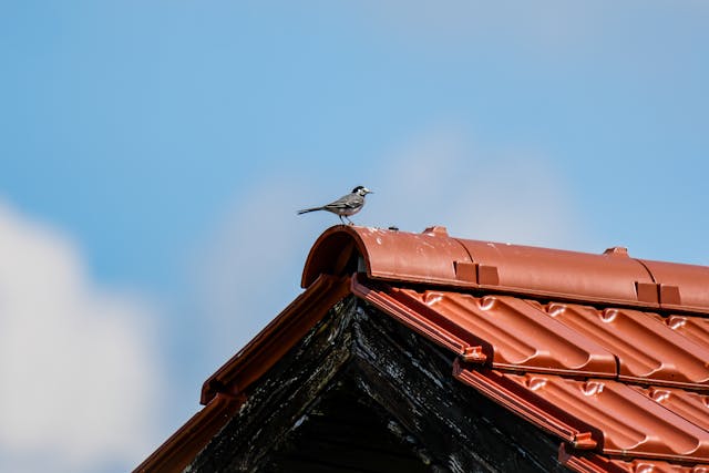 L’isolation de la toiture transforme le confort d’une habitation