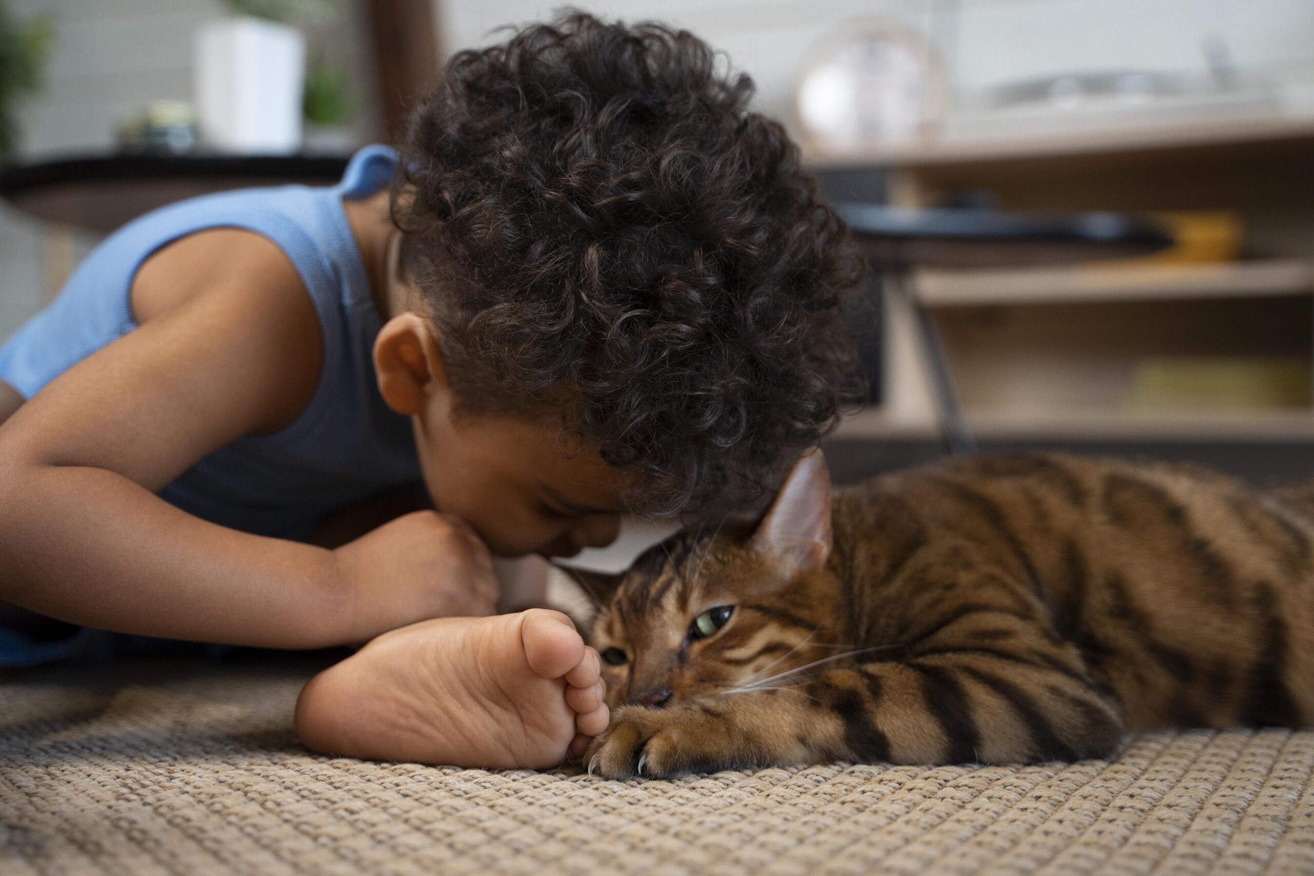 Les secrets d'une cohabitation harmonieuse entre chats et enfants